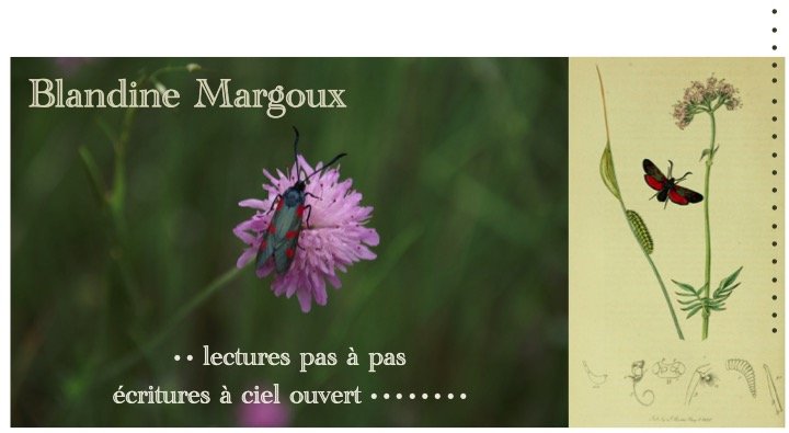 Lectures pas à pas • Écritures à ciel ouvert • • •