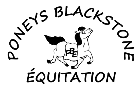 PONEYS BLACKSTONE ÉQUITATION